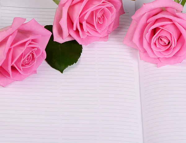 The rose on the book — Stock Photo, Image