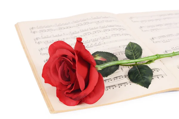 The rose on notebooks with notes — Stock Photo, Image