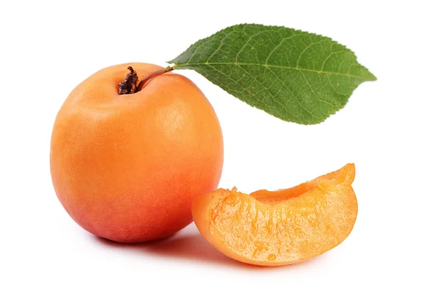 The fresh apricot with a leaf — Stock Photo, Image