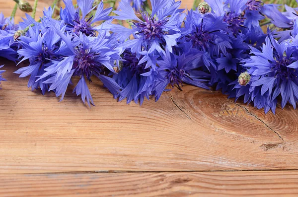 Den vakre kornblomsten på trebakgrunn – stockfoto