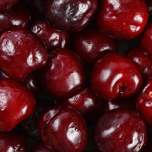 The cherry on branch close up — Stock Photo, Image