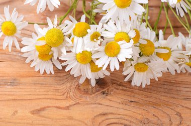 Ahşap arka plan üzerinde güzel papatya