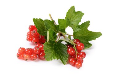 Beyaz arkaplanda kırmızı frenk üzümü izole edildi