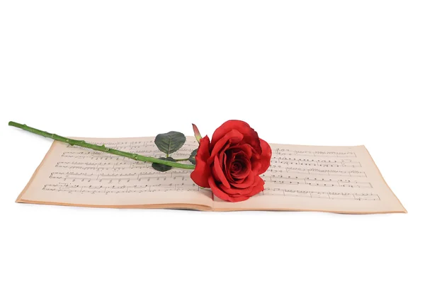 The rose on notebooks with notes — Stock Photo, Image