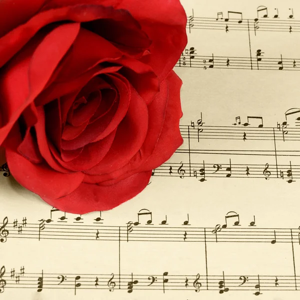 notları ile dizüstü bilgisayarlarda gül