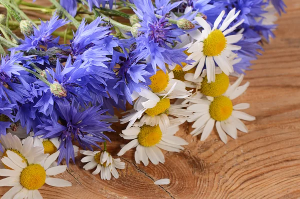 The beautiful cornflower on wooden background — Stock Photo, Image