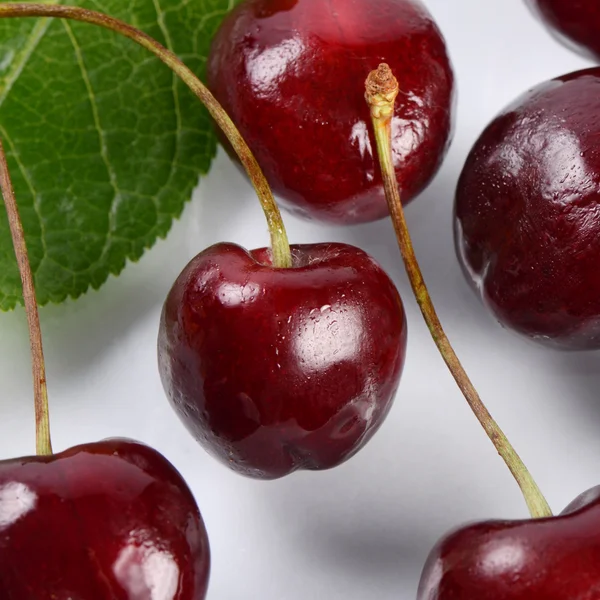 Körsbäret på gren med blad — Stockfoto