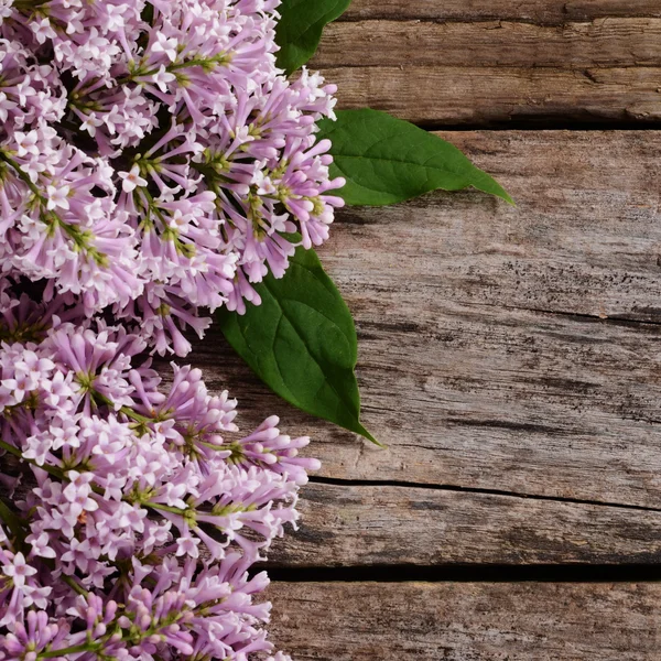The flower lilac a wooden background — Stock Photo, Image