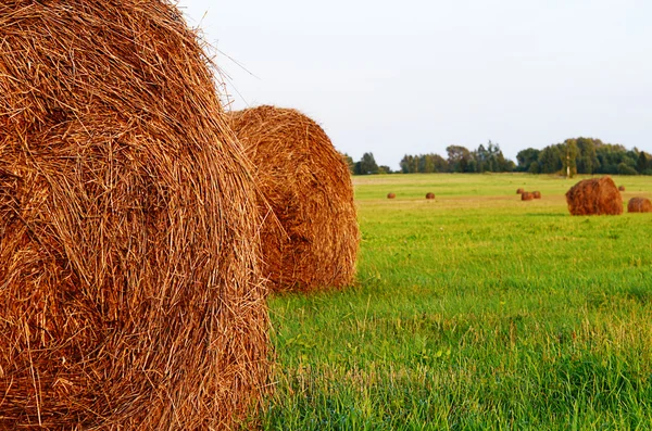 Haystack against the sky. Haymaking time. — Stock Photo, Image