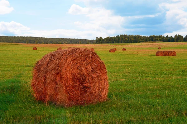 Höstack mot himlen. Slåttern tid. — Stockfoto