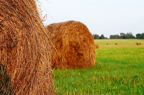 Höstack mot himlen. Slåttern tid. — Stockfoto