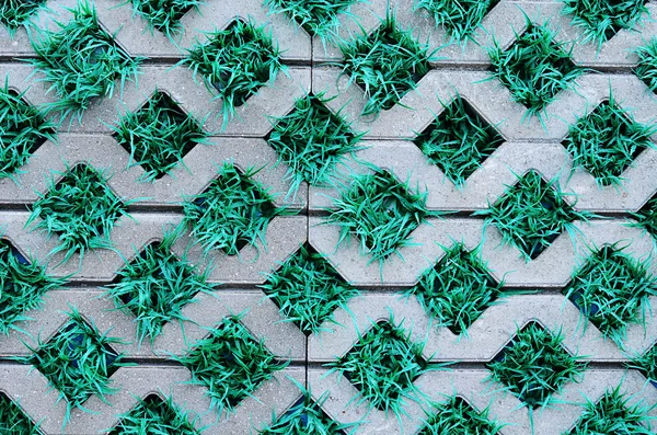 Kaldırım döşeme arka kapatmak