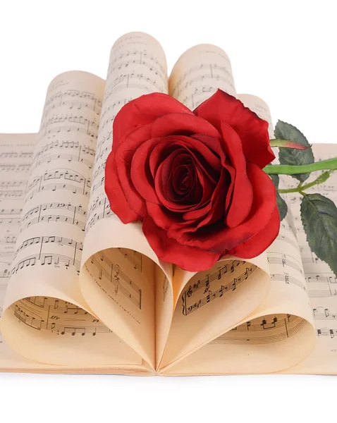 The rose on notebooks with notes — Stock Photo, Image