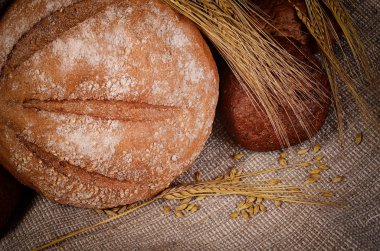 Taze ekmek kulakları ile bir çavdar