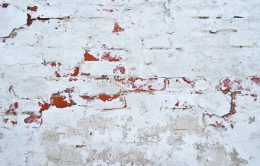 Brick wall with white whitewashing close up clipart