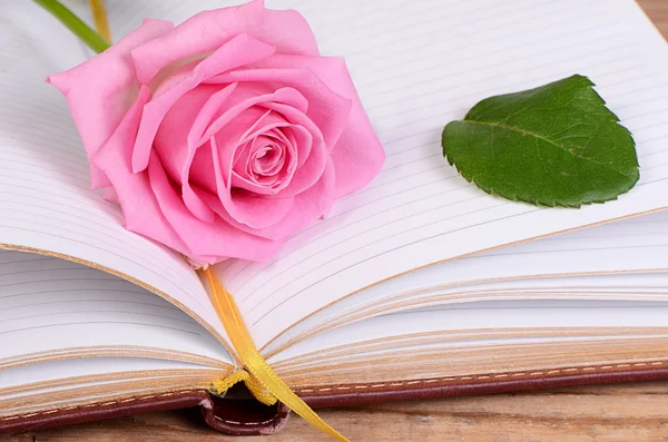 The rose on the book — Stock Photo, Image