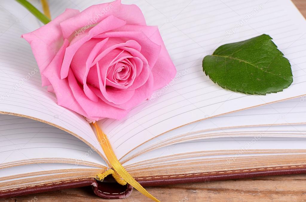 Роза На Книге Стоковое Фото ©sveta-Yaroslavl@Yandex.Ru 88060734