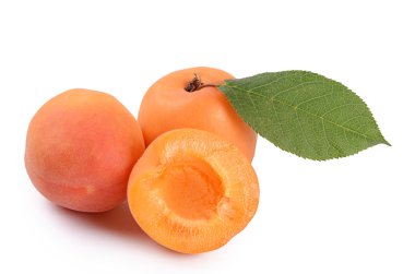 bir yaprak taze kayısı