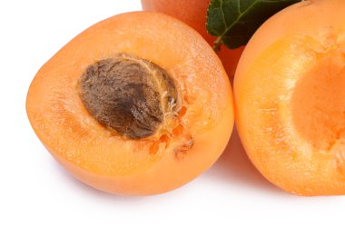 bir yaprak taze kayısı