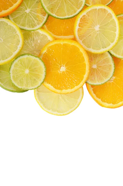 Allsorts från en citrusfrukt närbild — Stockfoto