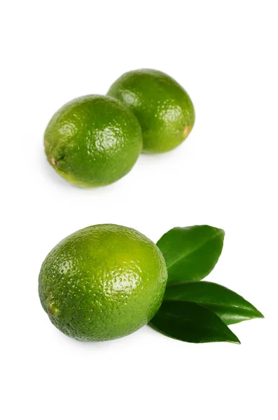 The fresh lime isolated on a white background — Stock Photo, Image