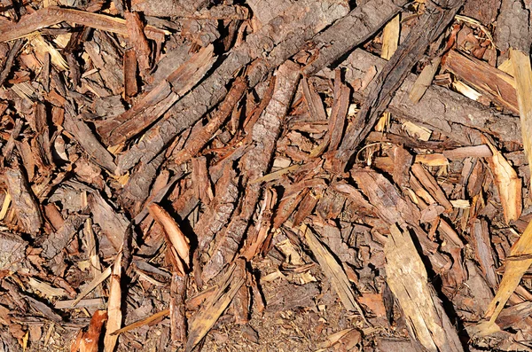 Fresh sawdust as background — Stock Photo, Image