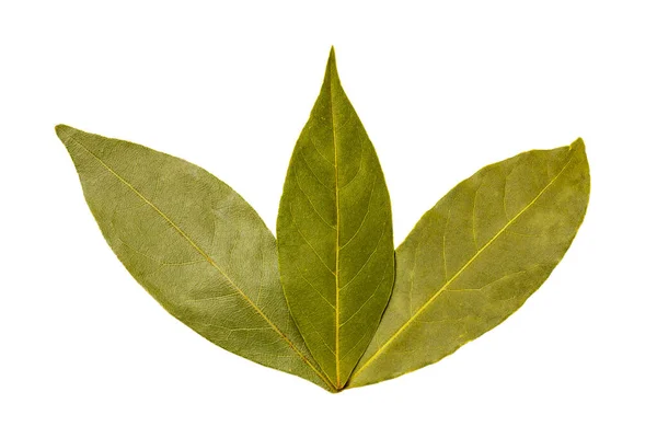 Bay leaf isolated on white background. Dry bay leaves for seasoning, spice. Fragrant laurel leaves — Stock Photo, Image