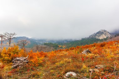 Kırım dağ sonbahar