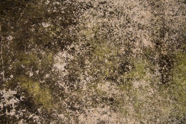 Arka plan ve doku için lekeli ve küflü eski çimento veya beton dış duvar.