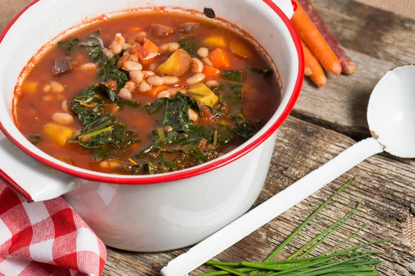 Grünkohl-Bohnen-Suppe — Stockfoto