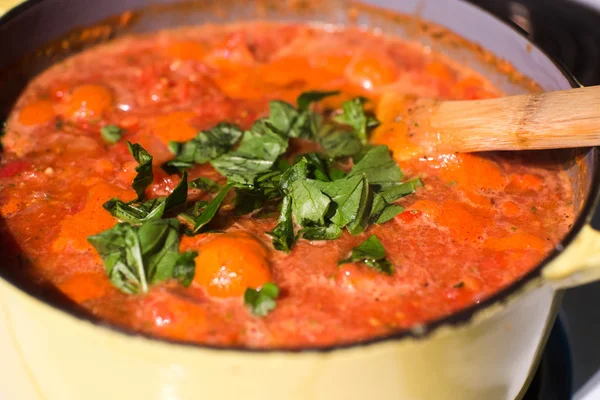 Świeży pomidor ogród czerwony sos zdrowy — Zdjęcie stockowe