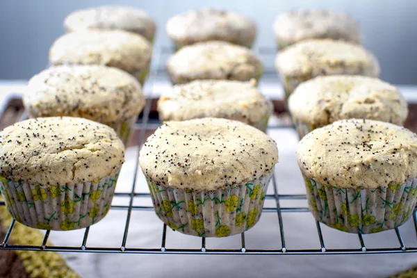 Fresh lemon poppy seed tart muffins — Stock Photo, Image