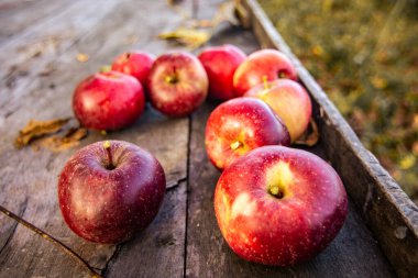 Bahçedeki ahşap masada birkaç kırmızı elstar elması.