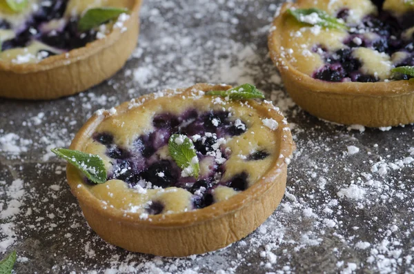 Blueberry frangipane tarts — Stockfoto