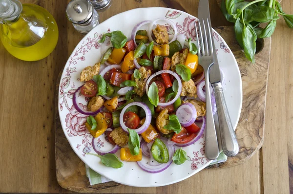 Panzanella-italienischer Salat — Stockfoto