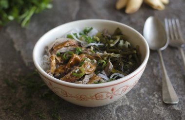 Kızarmış ördek noodles ile