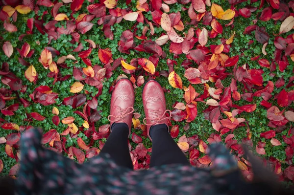 Rood Bovenaanzicht Van Vintage Schoenen Bladeren Tijdens Herfst Herfst — Stockfoto