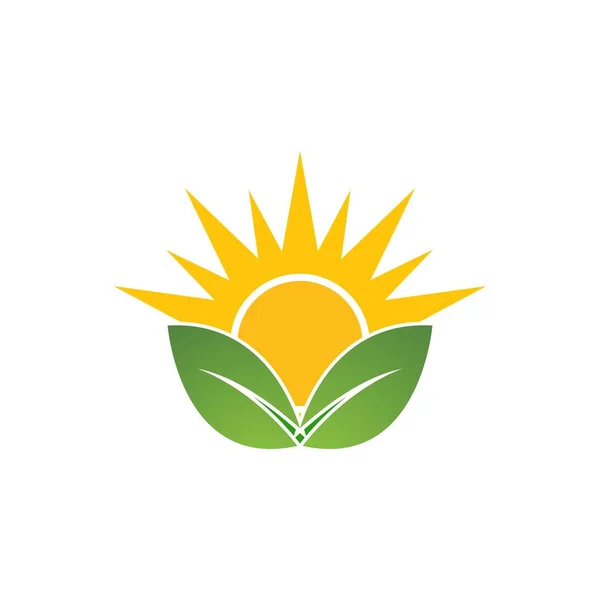 Modello Icona Vettoriale Logo Illustrazione Sole — Vettoriale Stock