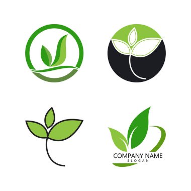 Yeşil yaprak logosu ekoloji doğa element vektör simgesi