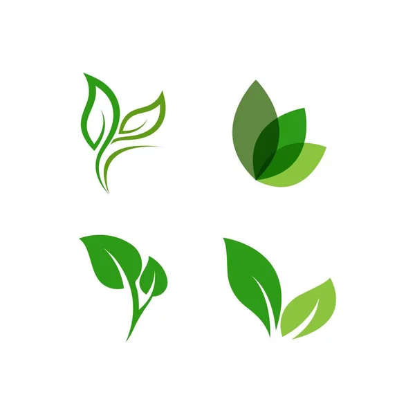 Folha Verde Logotipo Ecologia Elemento Natureza Vetor Ícone —  Vetores de Stock