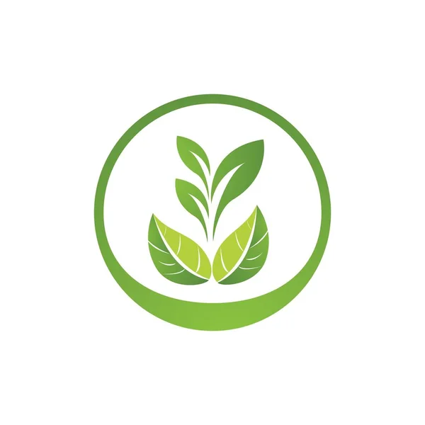 Groene Blad Logo Ecologie Natuur Element Vector Icoon — Stockvector