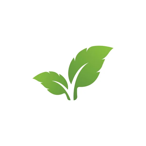 Logo Feuille Verte Écologie Élément Nature Vecteur Icône — Image vectorielle