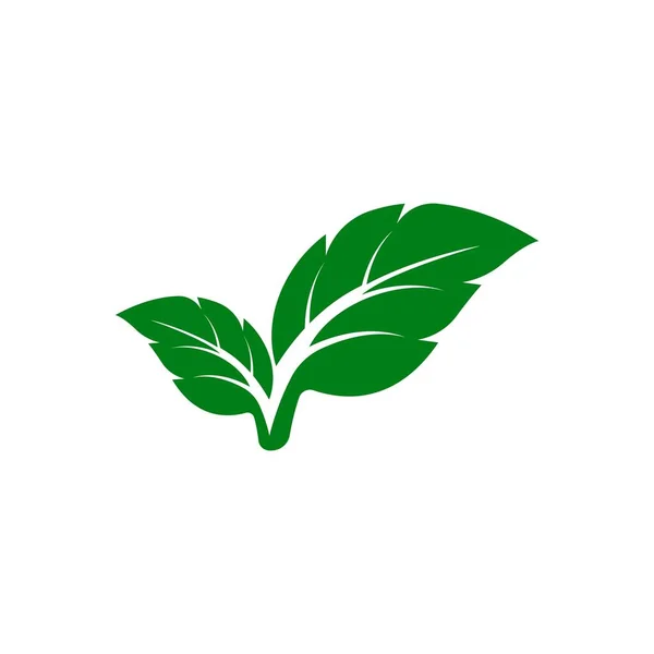 Logo Feuille Verte Écologie Élément Nature Vecteur Icône — Image vectorielle