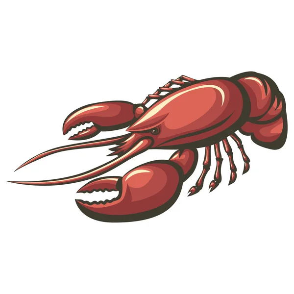 Red lobster or crayfish — Stock Vector