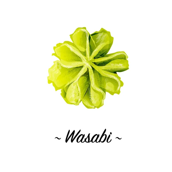 Wasabi isolated illustration