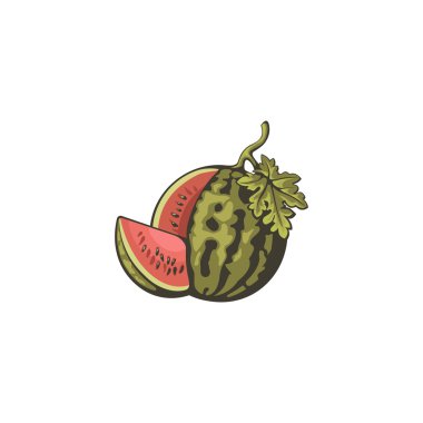 Watermelon and slice illustration.
