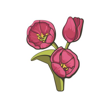  illustration of tulips.