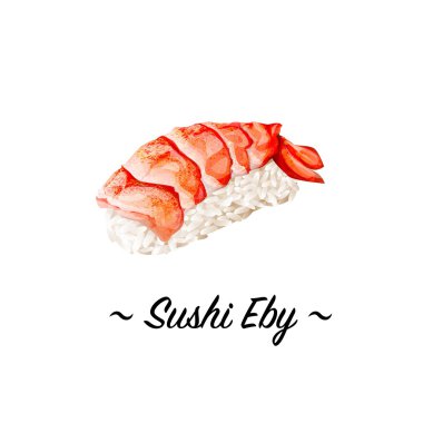 Shrimp sushi closeup isolated on white background. clipart