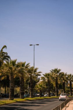 Yunanistan 'da yaz manzarası. Asfalt yolunun yakınındaki palmiye ağaçları. Mavi gökyüzü. Güneşli bir yaz günü. Güney ülkesi.