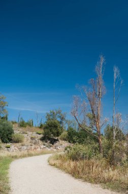 Dağlık kurak bölgede toprak yolun manzarası var. Sıcak güneşli bir yaz günü. Güney doğası. Kuru ot. Yeşil ağaçlar ve çalılar.